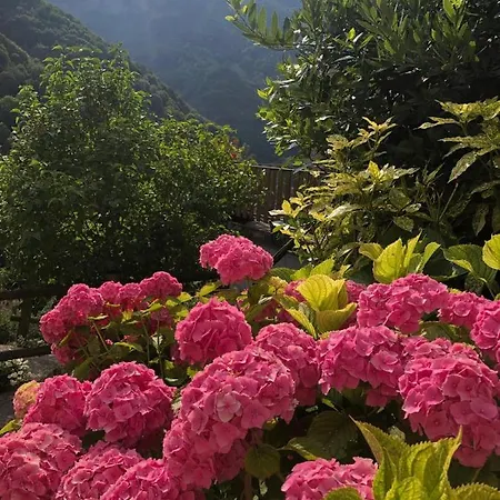 Haus Granata Family - Trekking - Bike Villa Giazza Exterior photo