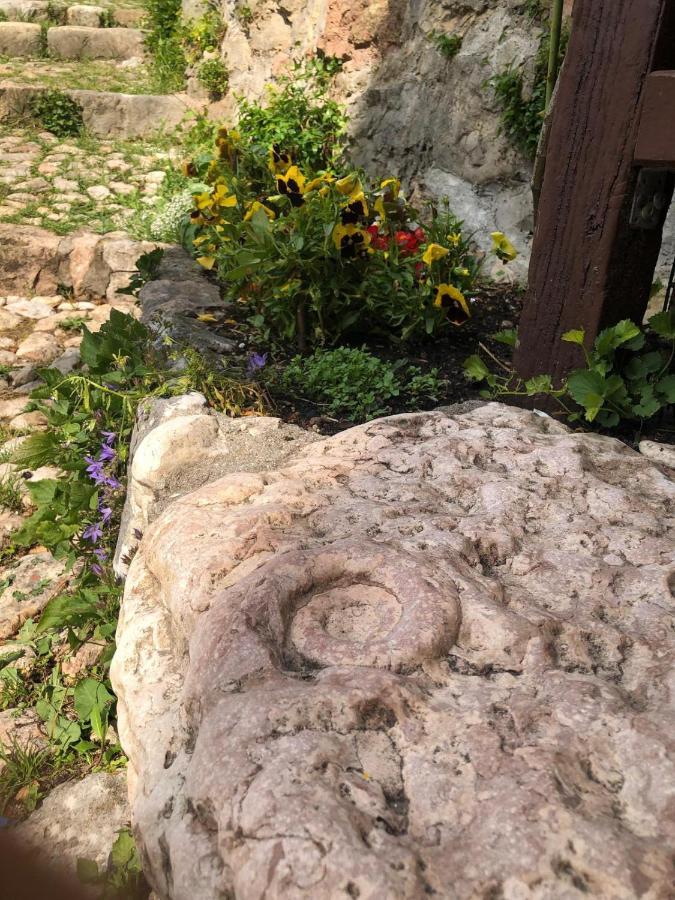 Haus Granata Family - Trekking - Bike Holiday home