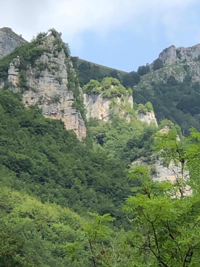 Haus Granata Family - Trekking - Bike