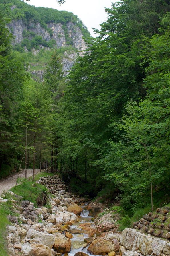 Haus Granata Family - Trekking - Bike Giazza