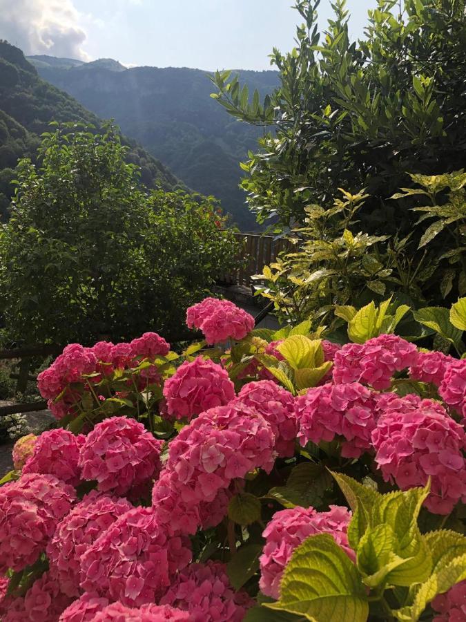 Haus Granata Family - Trekking - Bike Holiday home Giazza